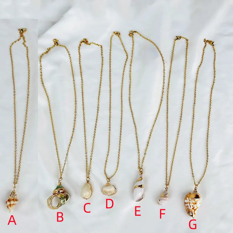 Natural Shell necklace